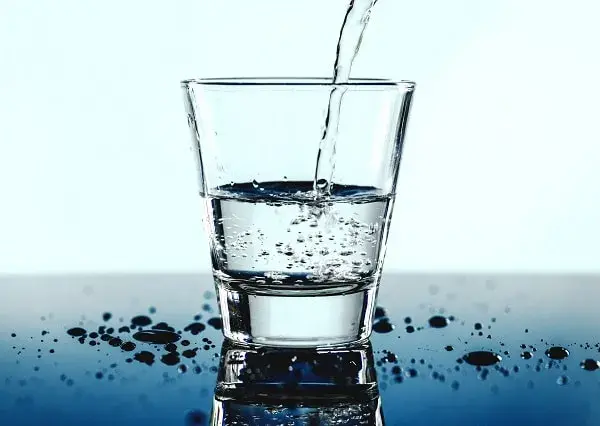 Dieta del agua