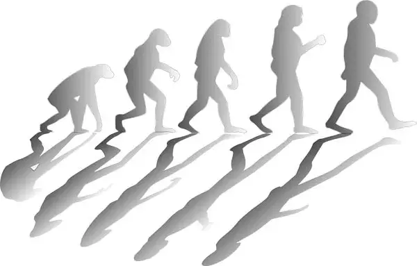 Teoria_de_la_evolucion