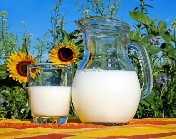 Bebida, agua o leche de avena
